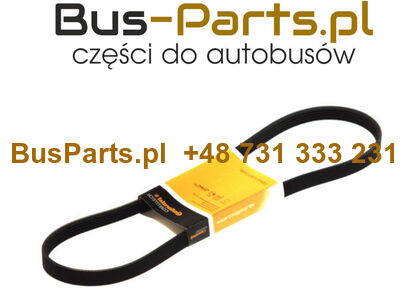 PASEK NAPĘDU ALTERNATORA 3 MAN COACH, NEOPLAN, EURO 5, 6 