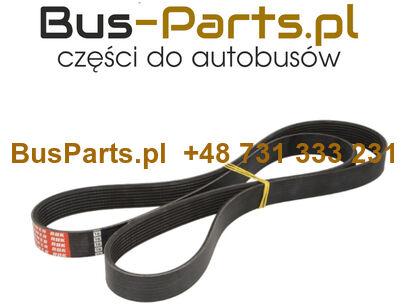 PASEK WIELOROWKOWY ALTERNATORÓW VOLVO 9700, 9900